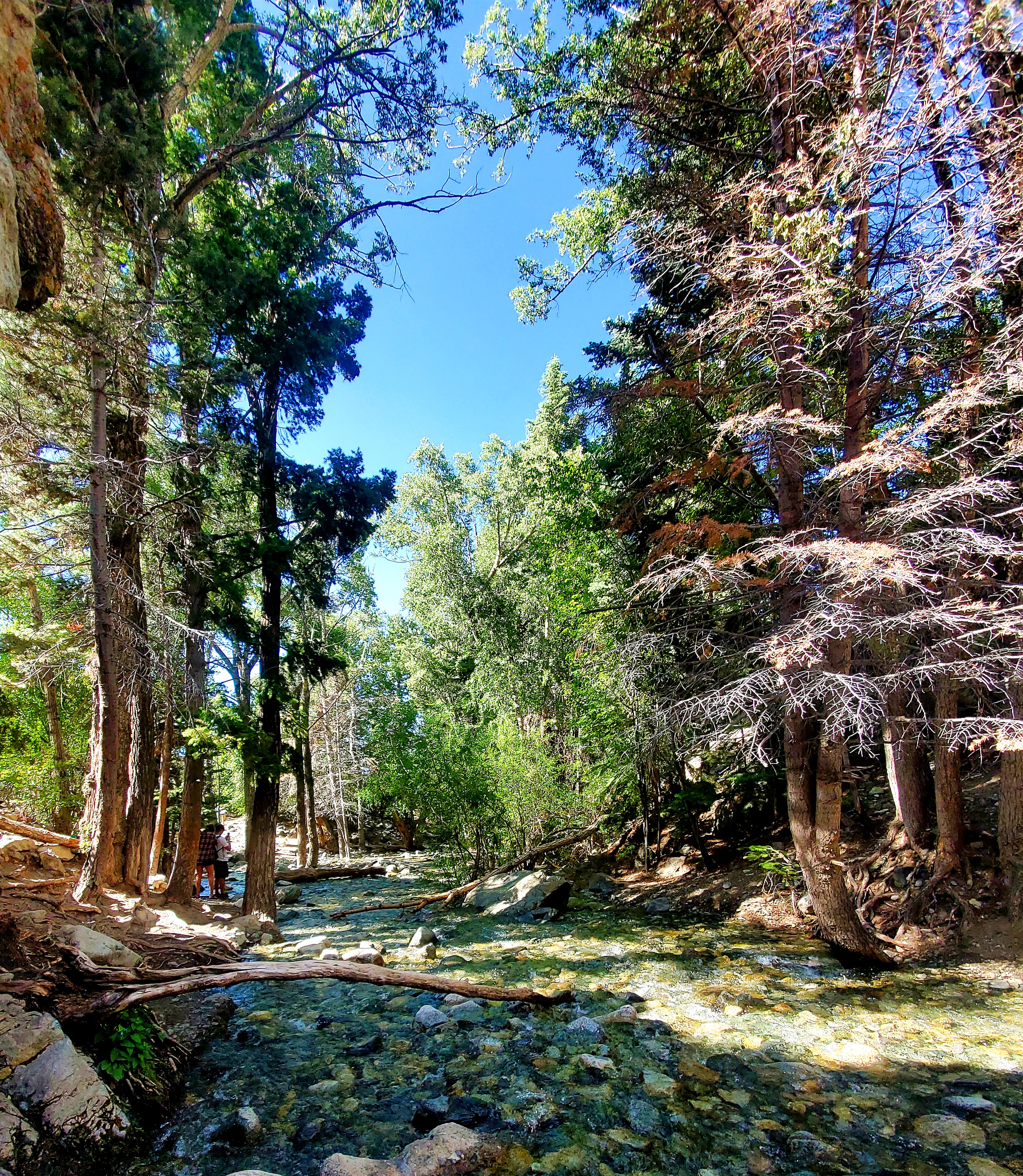 Zapata Falls outside